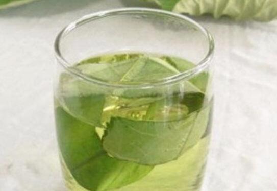 夏季胖人喝什么茶叶好,六种茶叶让你夏季喝出好身材