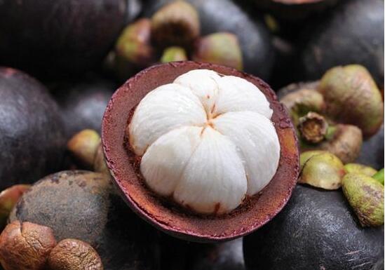 山竹的功效与作用,降燥去火缓解疲劳还能治青春痘