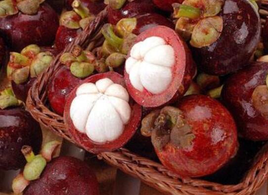 山竹的功效与作用,降燥去火缓解疲劳还能治青春痘