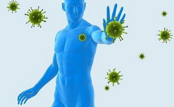 山竹的功效与作用,降燥去火缓解疲劳还能治青春痘