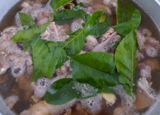 黄皮叶煮水能去黄疸吗,可以/还能去除痱子消毒杀菌