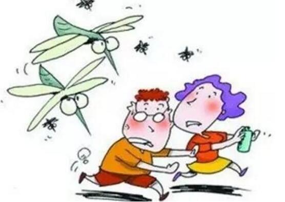 黄皮叶煮水能去黄疸吗,可以/还能去除痱子消毒杀菌