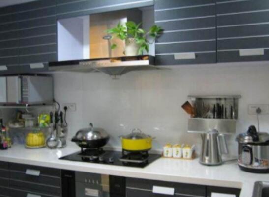 家里养绿萝的禁忌,养得过于茂盛会影响健康阻挡财运