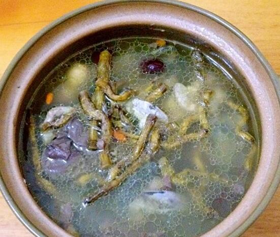 石斛如何在家庭里养殖,掌握好光照温差施肥浇水