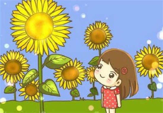 向日葵的花语和寓意,太阳/沉默的爱(寓意勇敢追求幸福)