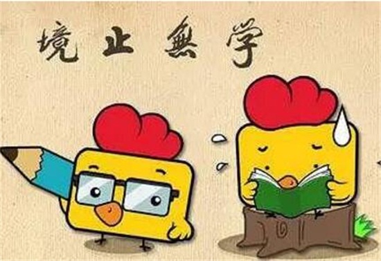 向日葵的花语和寓意,太阳/沉默的爱(寓意勇敢追求幸福)