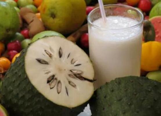 刺果番荔枝功效与作用,能延缓衰老治便秘还消除寄生虫