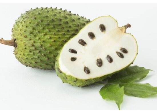 刺果番荔枝功效与作用,能延缓衰老治便秘还消除寄生虫