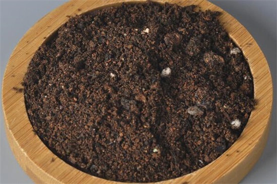 一品红怎么养殖方法,5个步骤养出一盆红红火火的一品红