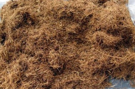 米兰花扦插方法及图解,掌握四个要点成功扦插米兰花