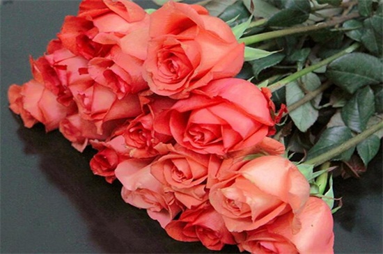 20朵玫瑰代表什么意思,两情相遇/此生不渝的爱情