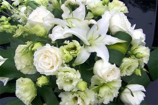 20朵玫瑰代表什么意思,两情相遇/此生不渝的爱情