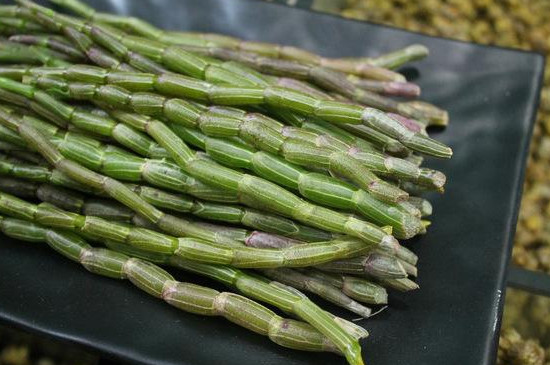 干石斛怎么保存方法,干燥通风避光防潮可保存数年