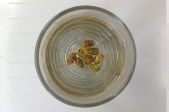 干石斛怎么保存方法,干燥通风避光防潮可保存数年