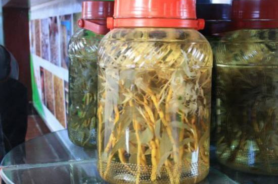 干石斛怎么保存方法,干燥通风避光防潮可保存数年