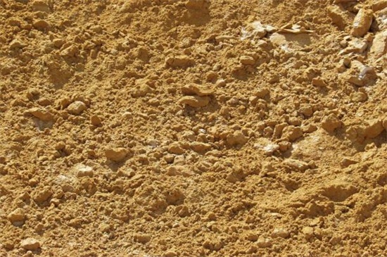 元宝树多久浇一次水,平常十天一次