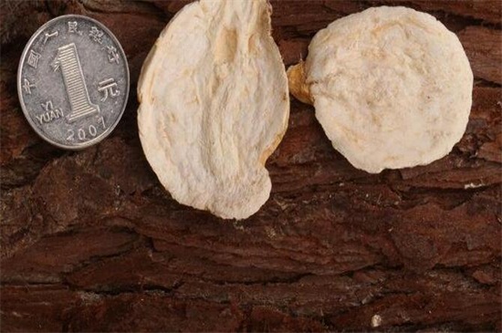 吗咖是什么植物,是南美人参有美容养颜作用