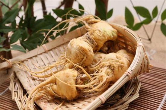 吗咖是什么植物,是南美人参有美容养颜作用