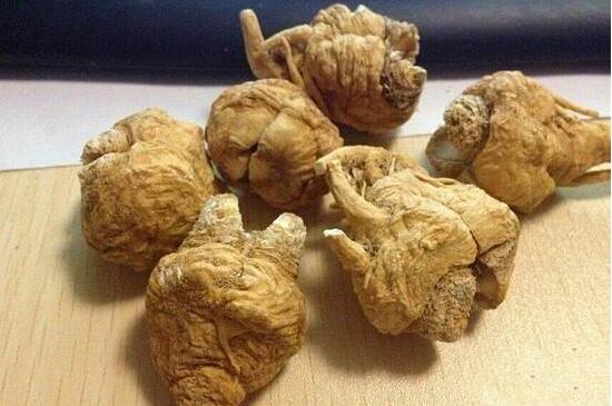 吗咖是什么植物,是南美人参有美容养颜作用