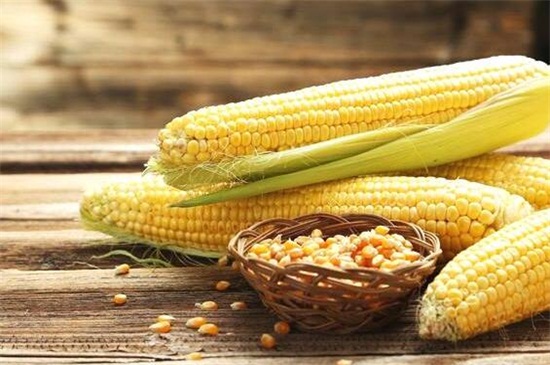 玉米是凉性还是热性