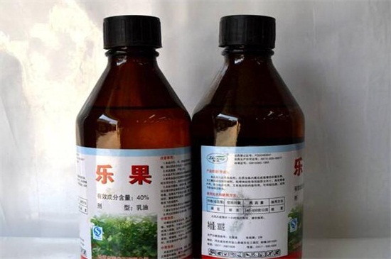 花上有红蜘蛛用什么药