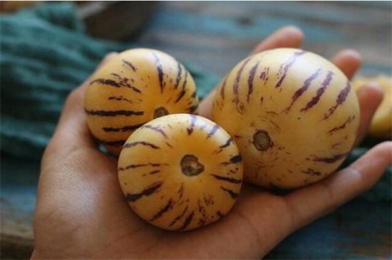 孕妇可以吃人参果么,有利于宝宝健康