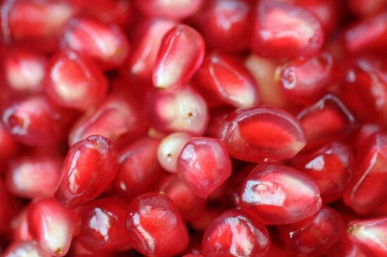 石榴种子什么季节种,春季5月份播种最适宜