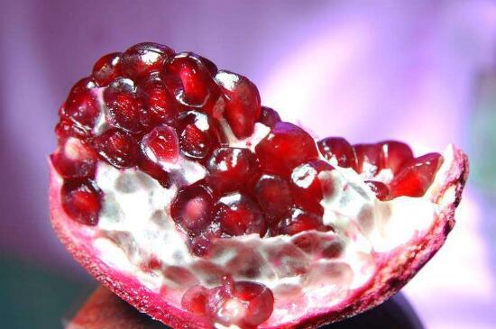 石榴种子什么季节种,春季5月份播种最适宜