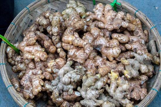 鲜姜储存三年的方法,真空法储存最久