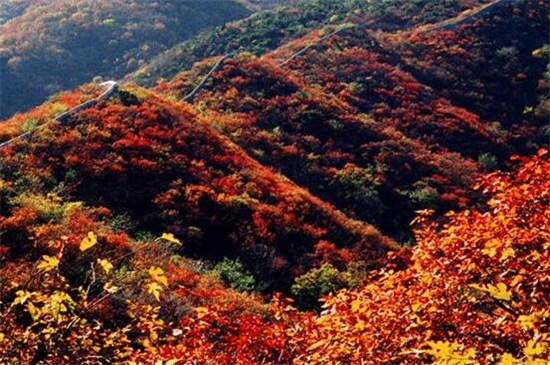 香山红叶最佳观赏时间,秋季10月份最佳观赏期