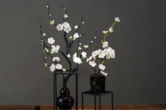 红梅枝条能水养吗