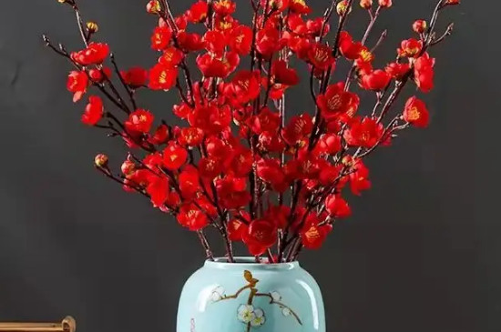 红梅枝条能水养吗