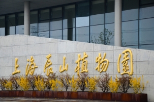 上海辰山植物园好玩吗:国家AAAA级旅游景区