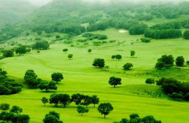 木兰围场 木兰围场