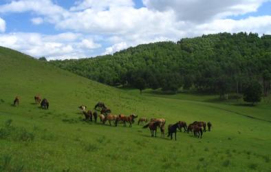木兰围场 木兰围场