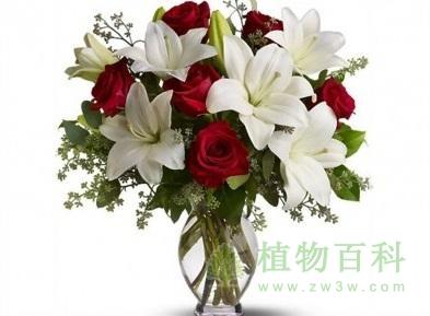 百合与玫瑰 百合与玫瑰