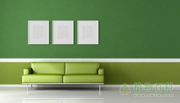 室内装修 室内装修