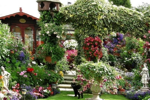 瑞士人的花卉激情 瑞士人的花卉激情