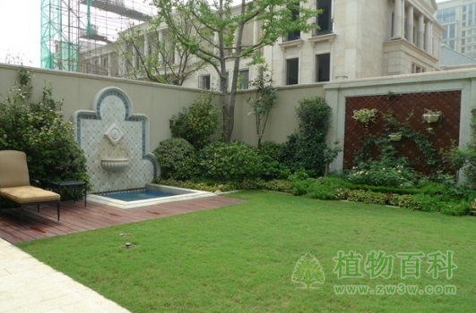 庭院绿化简易方法与技巧 庭院绿化简易方法与技巧