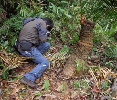 在越野外考察 在越野外考察
