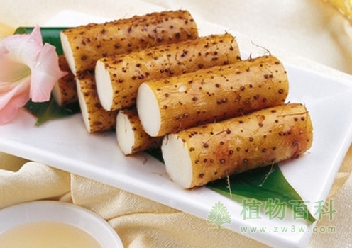 山药的功效与作用 山药的功效与作用