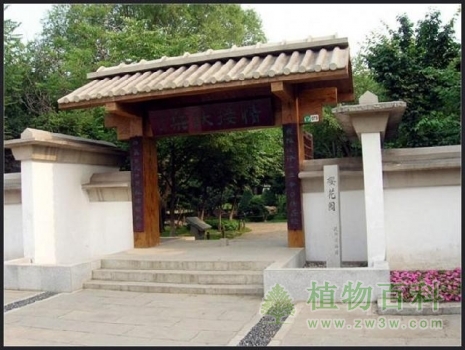 【沈阳植物园】 【沈阳植物园】