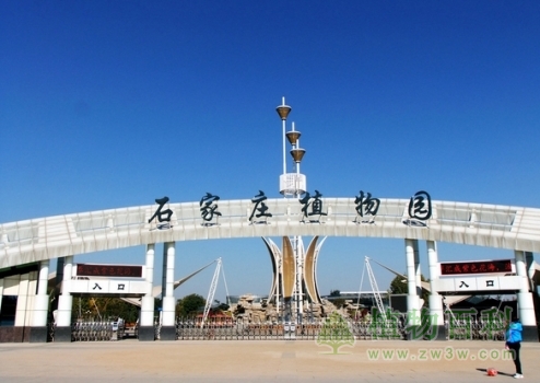 石家庄植物园 石家庄植物园