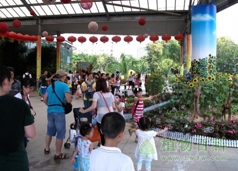 华南植物园六一自然科普课堂现场 华南植物园六一自然科普课堂现场