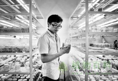 实验室里满是各种各样的植物 实验室里满是各种各样的植物