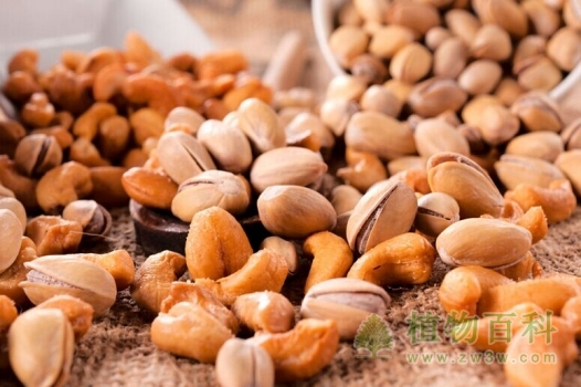 各类坚果 各类坚果