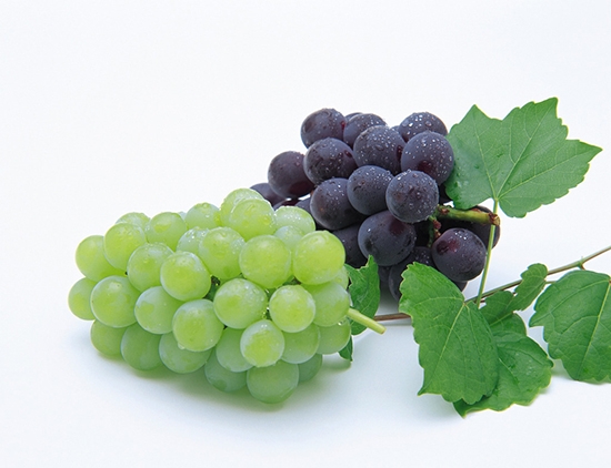 葡萄 葡萄