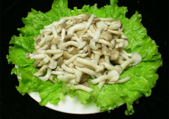 清炒平菇 清炒平菇