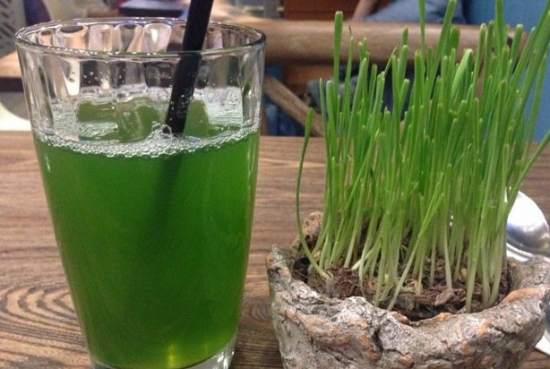 小麦草汁 小麦草汁