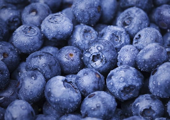 蓝莓 蓝莓